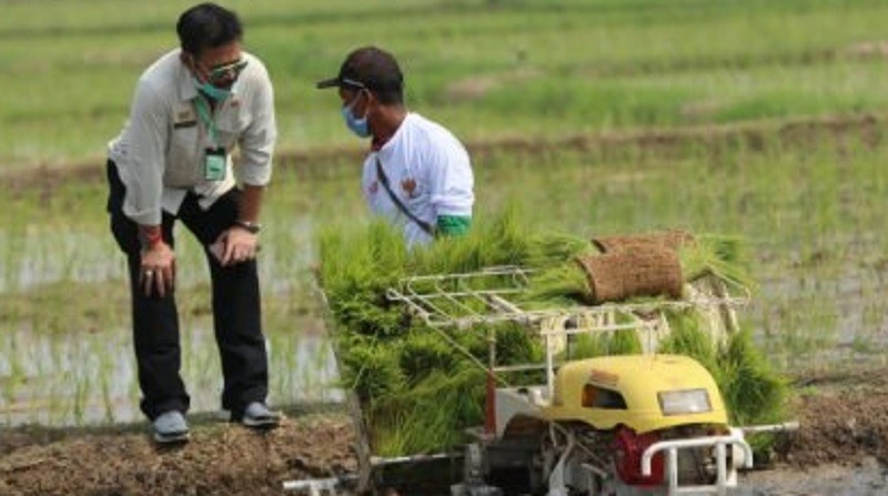 Jaga Ketersediaan Beras, Mentan Serukan Jangan Ada Lahan Nganggur