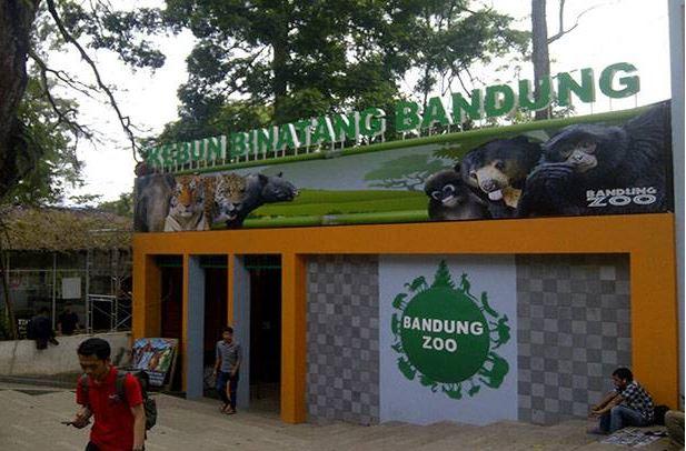 Hari Pertama New Normal, Kebun Binatang Bandung Masih Sepi