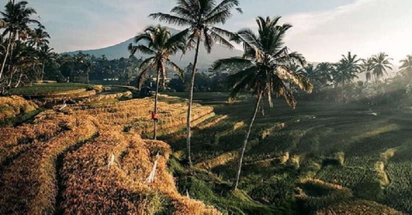 Usai Covid-19 Asyik Menjelajahi Desa Pupuan Bali, Sawahnya Indah Berundak-undak
