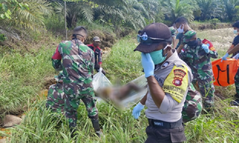 3 Hari Tak Pulang, Buruh Perkebunan Sawit Tewas Membusuk di Perbatasan Malaysia