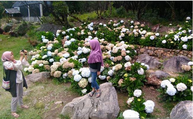 New Normal, Tempat Wisata di Garut Mulai Ramai Dikunjungi Warga
