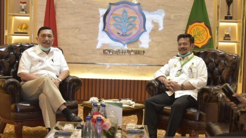 Luhut Minta Food Estate Dibangun di Sumatra Utara