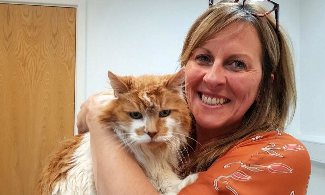 Rubble, Kucing Tertua di Dunia Mati di Usia Setara 150 Tahun Manusia