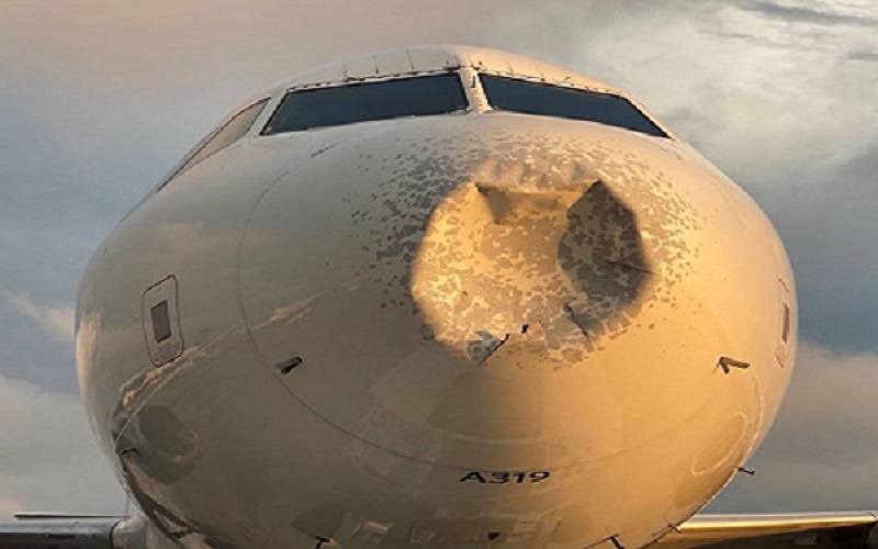 Pesawat Delta Airlines Mendarat Darurat di New York, Diduga akibat Tabrak Burung