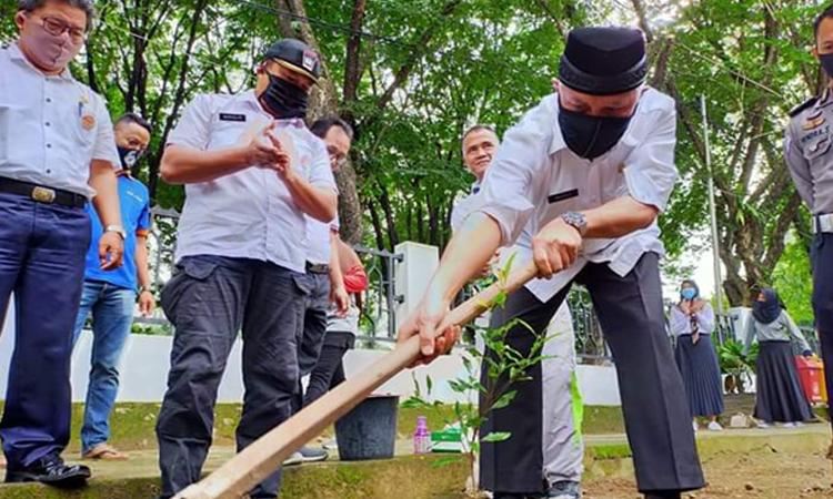 Manfaatkan Lahan Tidur Dekat Kolam Renang Teratai, Dispora Padang Tanam Cengkeh