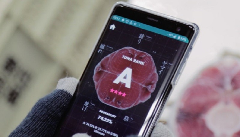 Aplikasi Ini Gunakan AI untuk Menilai Kualitas Ikan Tuna