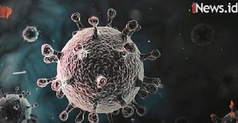 Peneliti Covid-19 Angkat Suara tentang Temuan Obat Herbal Hadi Pranoto