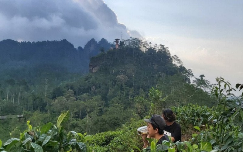 Seluruh Objek Wisata di Kulonprogo Siap Dibuka untuk Umum