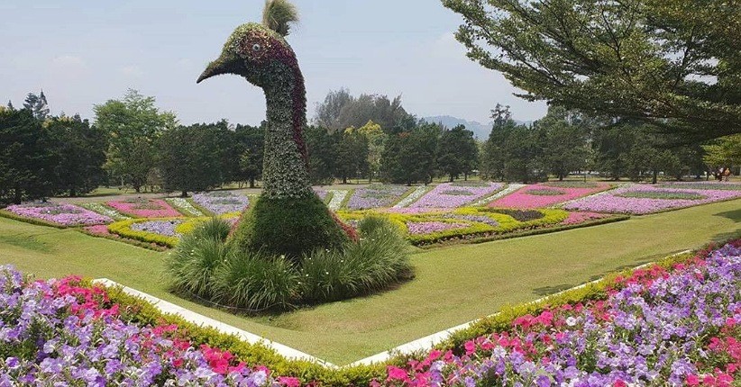 5 Tempat Wisata yang Cocok untuk Ibu Hamil, Asyik Dikunjungi Usai Covid-19