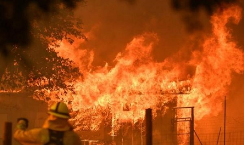 Gudang Styrofoam Wisata Bakau Probolinggo Ludes Terbakar