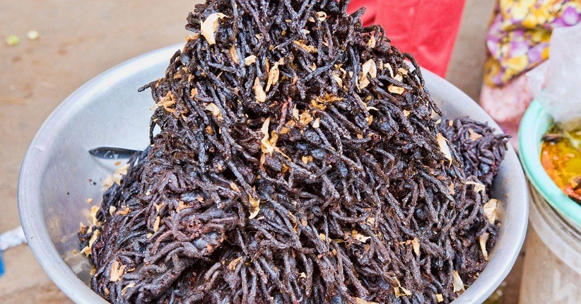 Intip 4 Makanan Teraneh di Asia, Salah Satunya Ada Tarantula Renyah