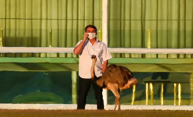 Presiden Brasil Dipatuk saat Beri Makan Burung Rhea, Netizen: Hewan Tahu Siapa Orang Jahat