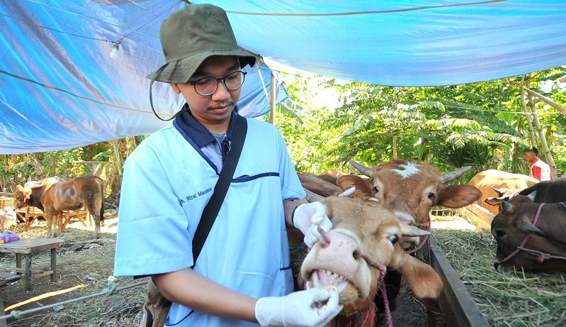 PKS: Perayaan Idul Adha Harus Ikuti Imbauan Pemda