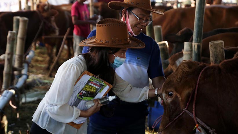 Niat Qurban untuk Diri Sendiri Beserta Doa Menyembelih Sesuai Sunnah Nabi SAW