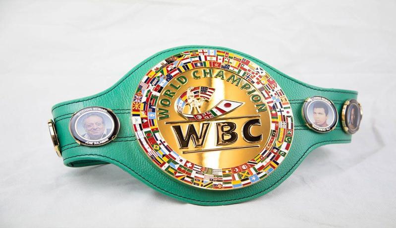 Berani Lawan Anjing, Bocah 6 Tahun di AS Dapat Sabuk Mirip Tyson Fury