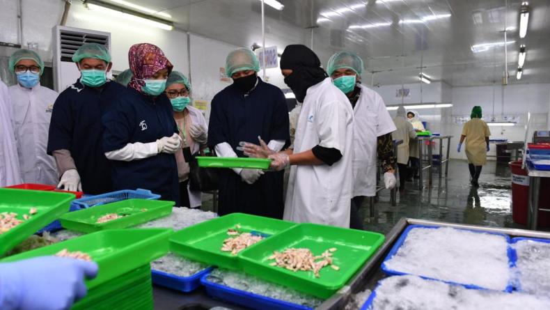 Teten Masduki: Indonesia Eksportir Rajungan Terbesar Dunia