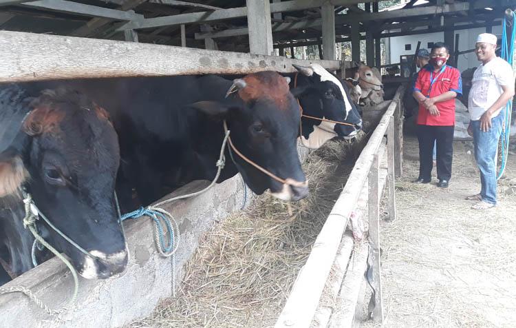 Pandemi Covid-19, Pengelola Masjid Al Azhar Distribusikan Daging Kurban Langsung ke Warga