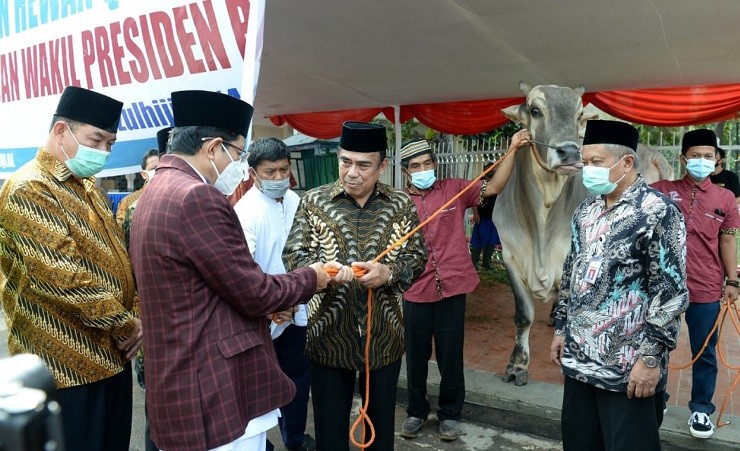 Idul Adha, Jokowi Kurban Sapi di 34 Provinsi dari Bobot 800 Kg hingga 1 Ton
