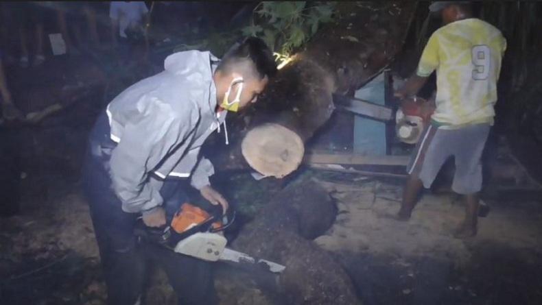 2 Bocah di Medan Tak Sadarkan Diri Tertimpa Pohon Tumbang