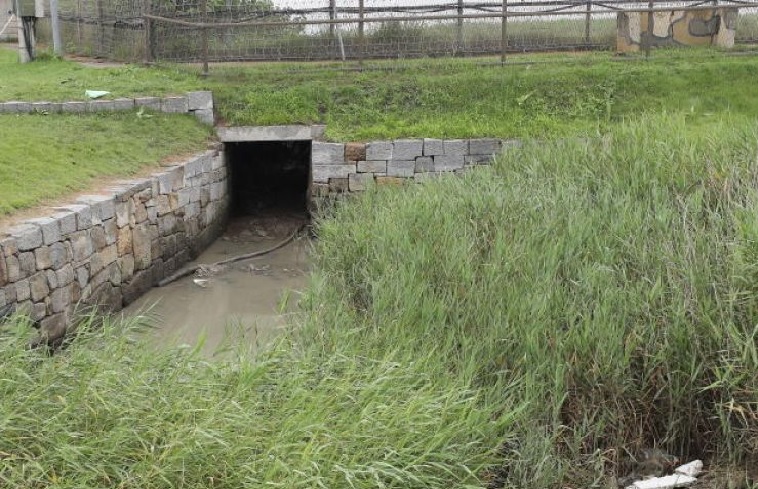 Jenderal Korsel Dipecat setelah Biarkan Pembelot kembali ke Korut Lewat DMZ