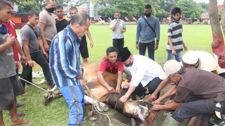 Tata Cara Menyembelih Hewan Qurban, Lengkap dengan Bacaan Doa