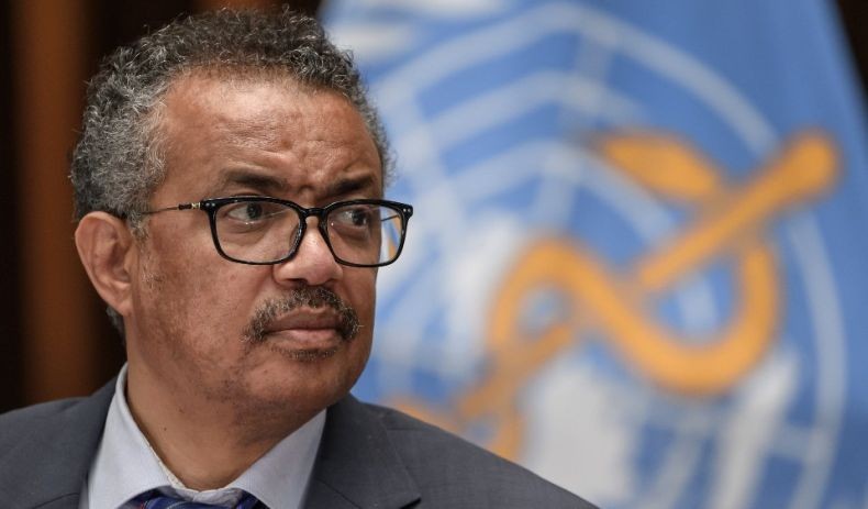 Bos WHO Sebut Semua Teori soal Asal Usul Covid-19 Masih Terbuka
