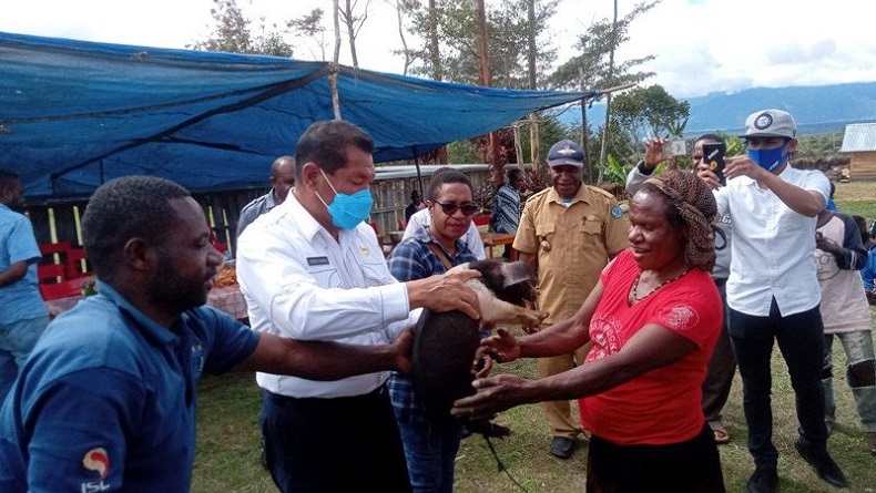 Dukung Kelanjutan Otsus, Bupati Jayawijaya Klaim Pembangunan Libatkan Warga