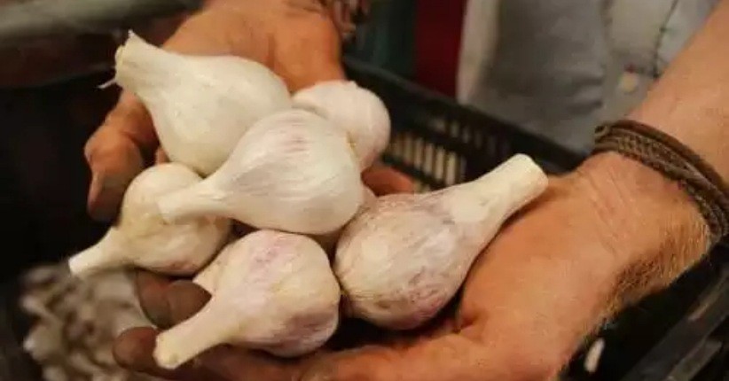 Selain Menambah Rasa Lezat di Masakan, Bawang Putih Bisa Atasi Kolesterol