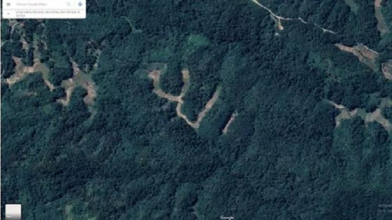 Viral Foto Citra Satelit Berlafaz Allah di Sawahlunto Sumatera Barat