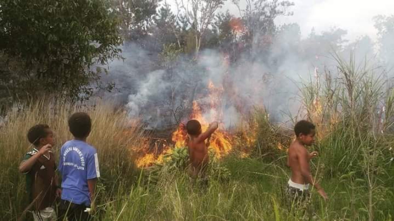 Sambil Telanjang Dada, Bocah di Papua Padamkan Api di Kebun Raya Biologi LIPI