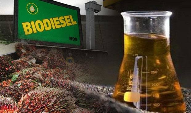 Program Biodiesel Belum Dirasakan Petani Sawit