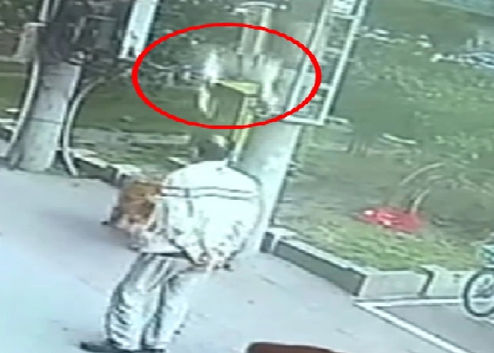 Pria di China Cedera Leher Tertimpa Kucing Jatuh dari Apartemen