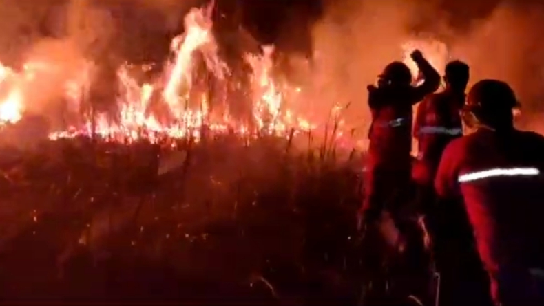Sulit Dipadamkan, 12 Hektare Lahan di Ogan Ilir Terbakar