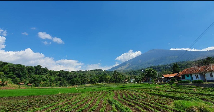 Terpikat Keindahan Desa Wisata Cibuntu di Lereng Gunung Ciremai