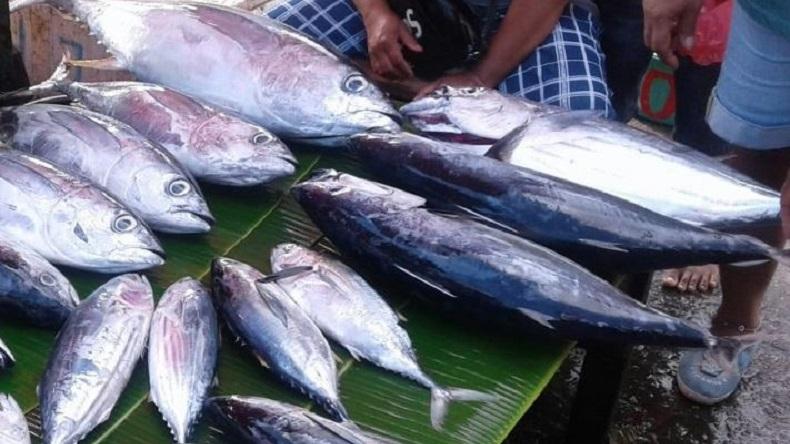 China Hentikan Impor Ikan Laut Indonesia karena Terpapar Covid-19