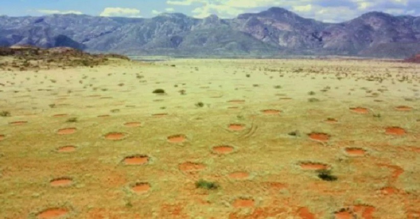 Ilmuwan Pecahkan Misteri Lingkaran Peri Namibia