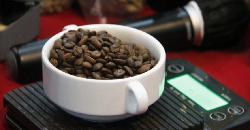 Mengenal Potensi Kopi Lokal di Destinasi Super Prioritas Danau Toba