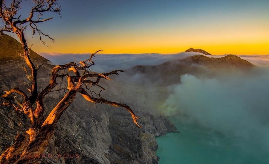 5 Tempat wisata di Banyuwangi Paling Hits, Ada Pantai Merah hingga Taman Mirip Afrika