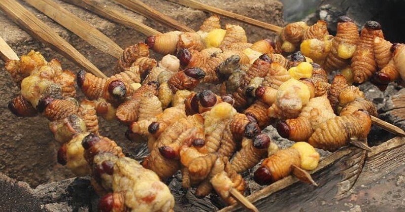 4 Makanan Paling Aneh di Indonesia, Sudah Pernah Coba?