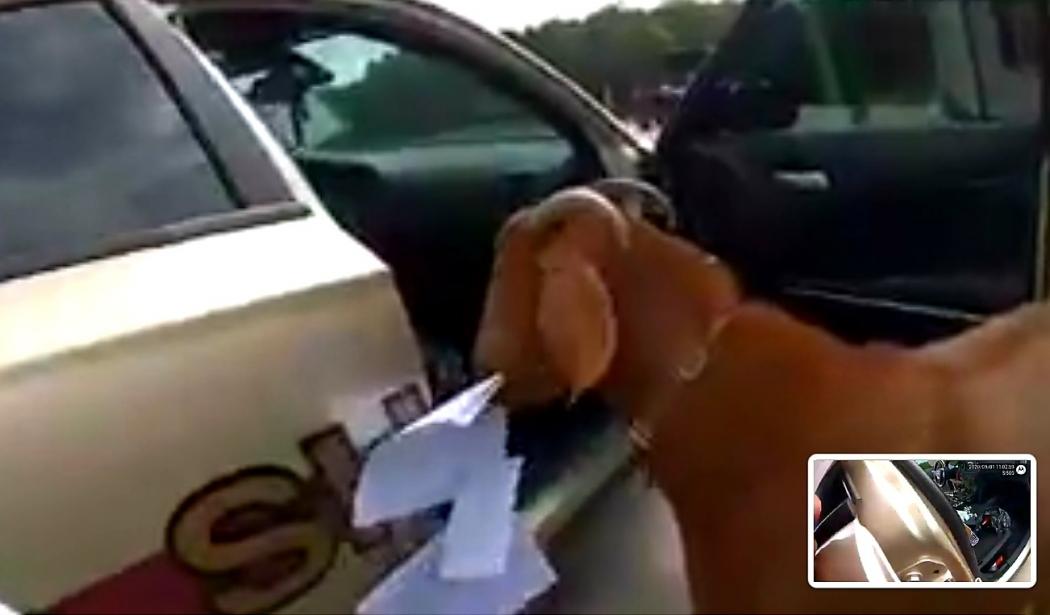 Pintu Dibiarkan Terbuka, Kambing Masuk Mobil Polisi Makan Surat Tilang