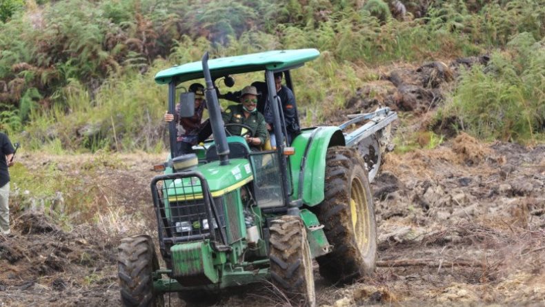 Tahap Awal, Food Estate di Sumatra Utara Dibangun 1.000 Hektare