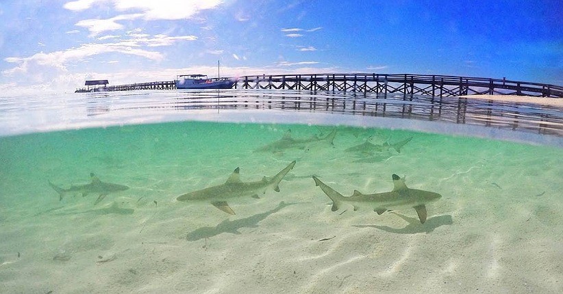 5 Wisata di Sulawesi Selatan Paling Hits, Nomor 3 Ada Kuburan Kuno di Dalam Gua