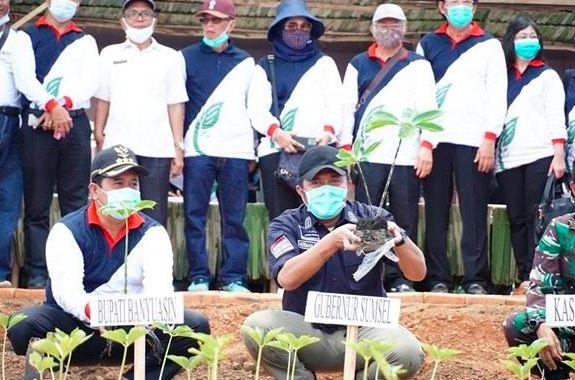 Selain Lumbung Beras, Herman Deru Dorong Banyuasin Jadi Sentra Porang