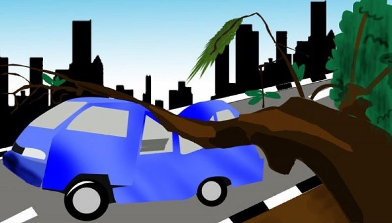 Pohon Tumbang Timpa Kontrakan di Depok, Damkar Evakuasi