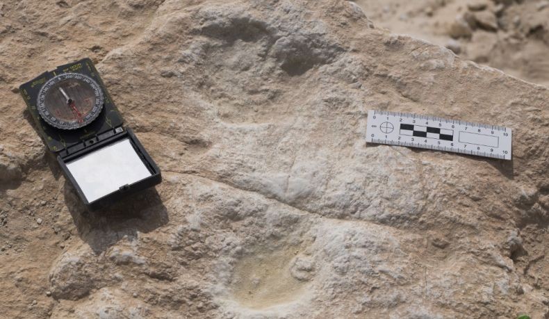 Jejak Kaki Manusia dari 120.000 Tahun Lalu Ditemukan di Arab Saudi