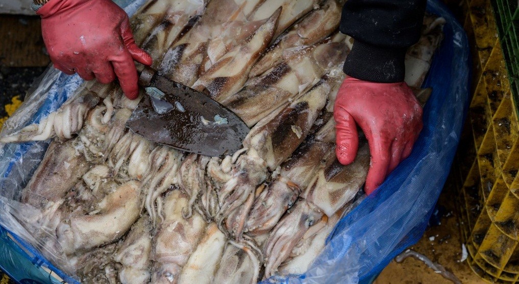 China Temukan Virus Corona pada Kemasan Cumi-Cumi Impor