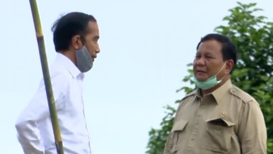 Prabowo Targetkan 1,4 juta Hektare Lahan Singkong hingga 2025