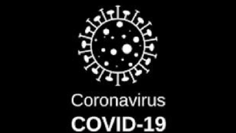 Hari Ini Hanya Bengkulu dan Maluku Nihil Penambahan Kasus Positif Covid-19