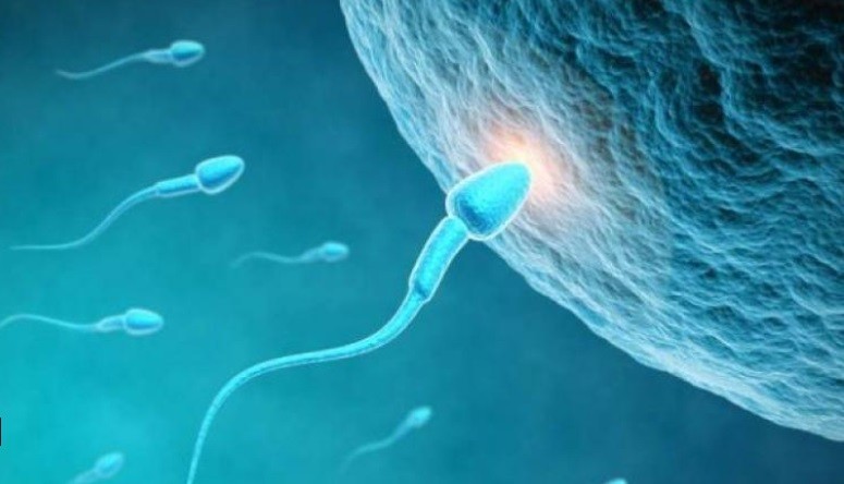 Ingin Punya Momongan? Begini Kiat Menjaga Kualitas Sperma