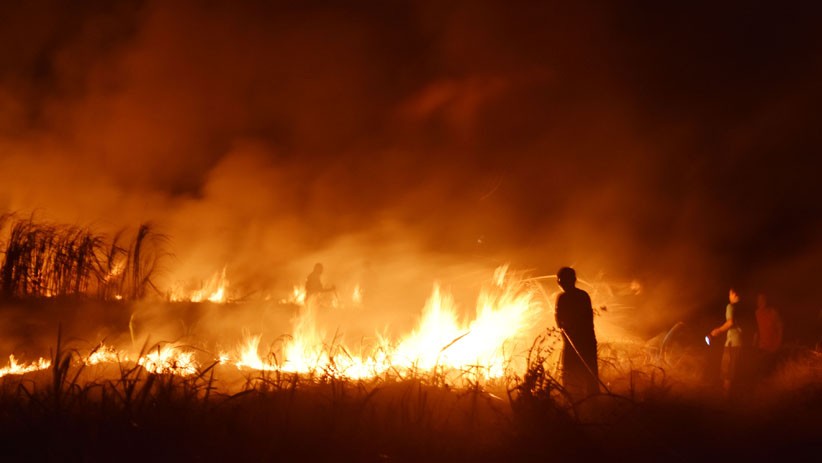 Kebakaran Hutan di Desa Selandia Baru, Puluhan Rumah Musnah